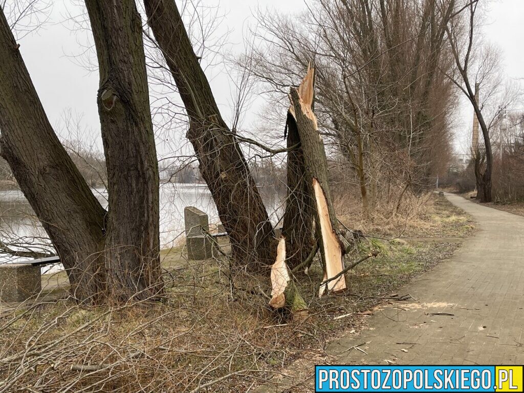 Dziś będzie mocno wiało.