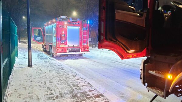 Matka i dziecko trafili pod opiekę ratowników medycznych, przyczyną zadymienie z pieca .