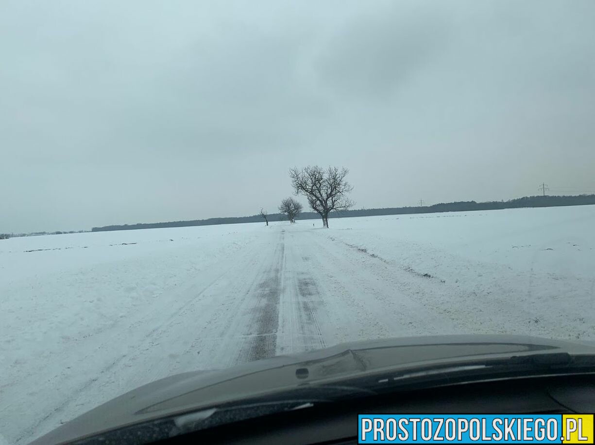 IMGW ostrzega. Będzie mocno wiało.