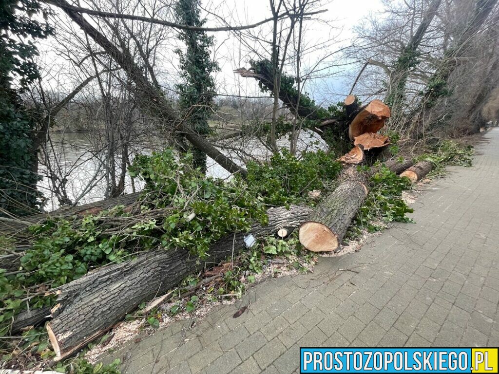 Noc z piątku na sobotę będzie wietrzna