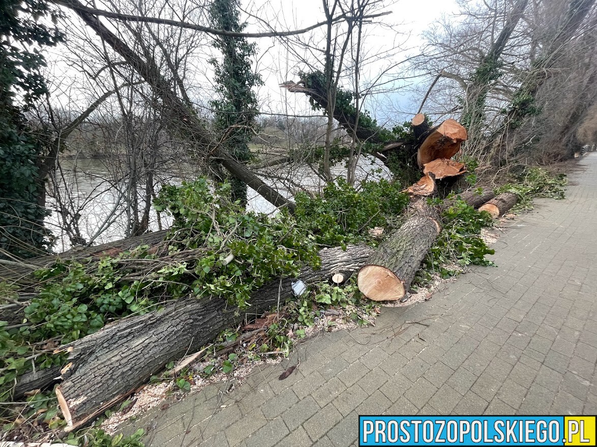 Noc z piątku na sobotę będzie wietrzna