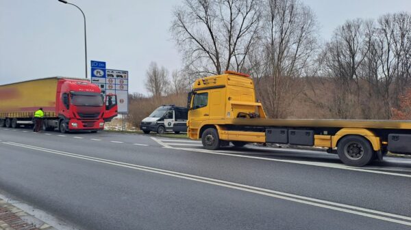 Inspektorzy z WITD uniemożliwili wyjazdu do Polski Macedońskiego przewoźnika z oknami.