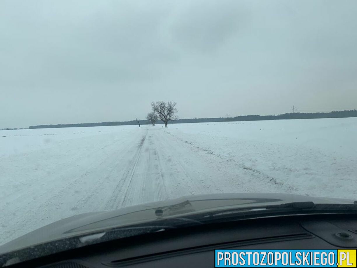 Przymrozki w województwie Opolskim.