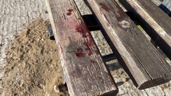 Kobieta z ranami ciętymi głowy i twarzy znaleziona w kałuży krwi na ławce w centrum Opola.(Zdjęcia)