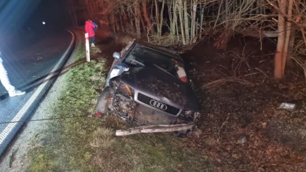 Dachowanie Audi na trasie Krasiejów -Kolonowskie. Kierujący oddalił się z miejsca, pozostawiając auto w rowie.