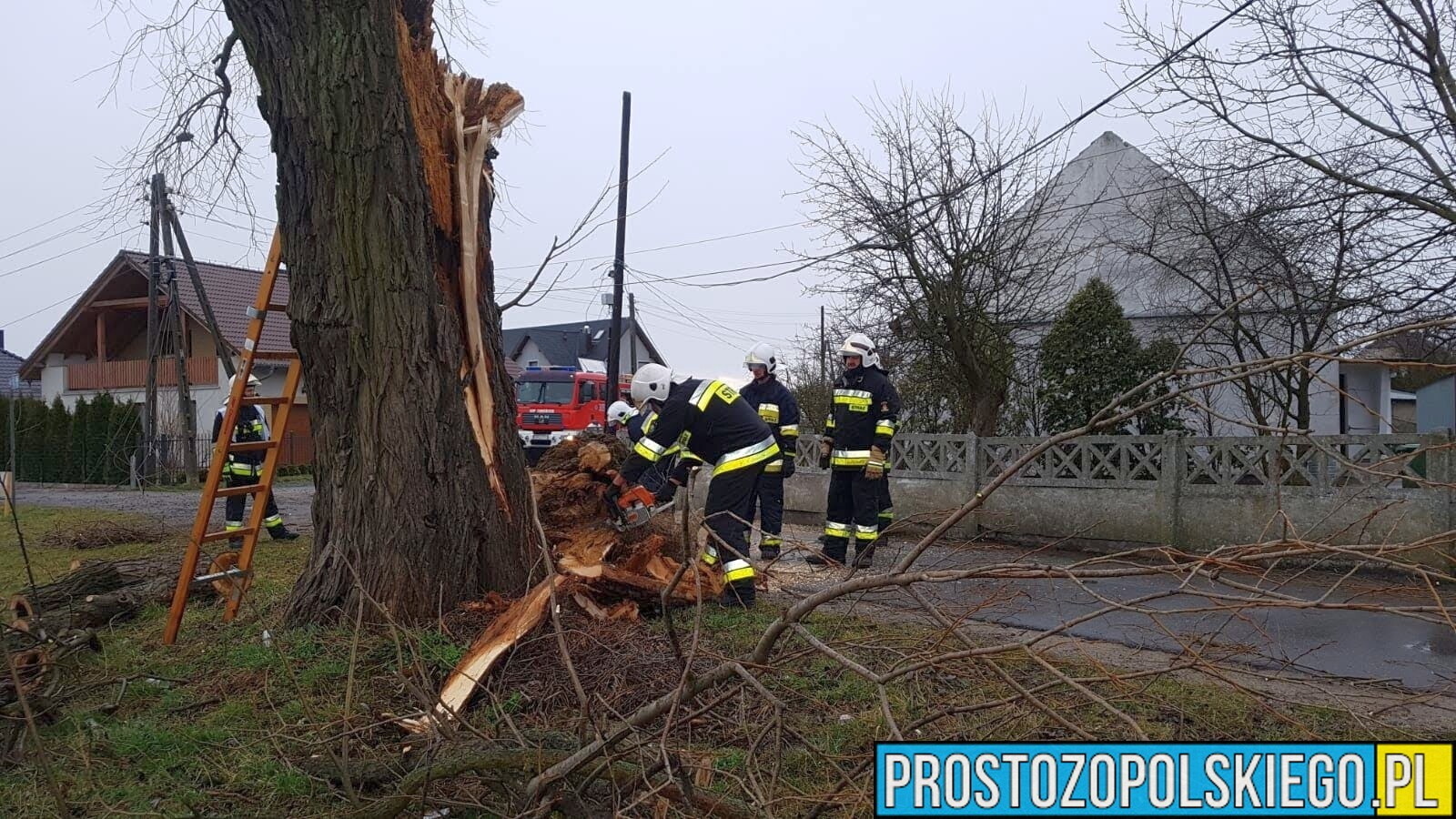 Silny wiatr na terenie Opolszczyzny.