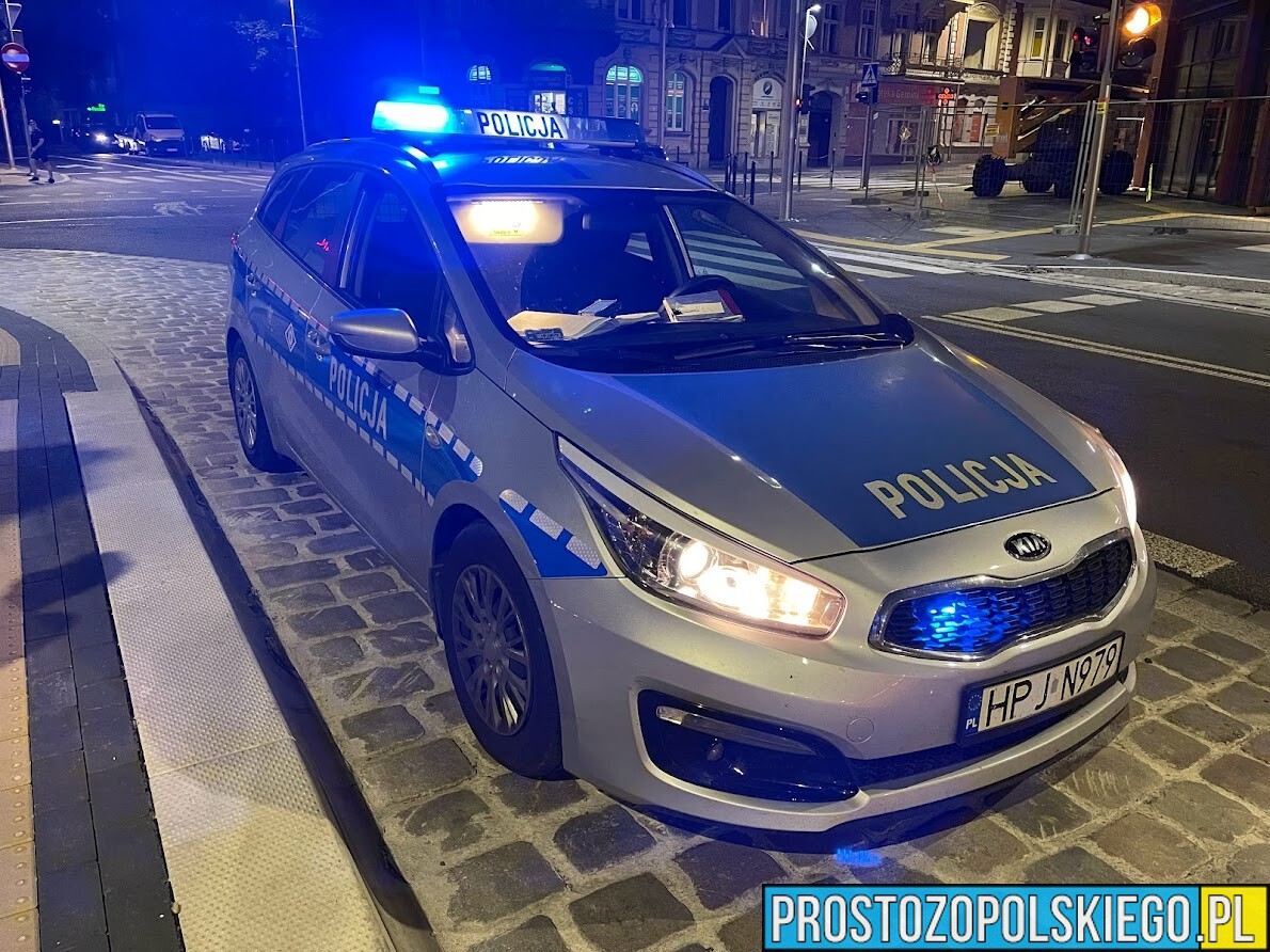 Policjanci zwrócili zagubionego czworonoga właścicielce. Piesek na obroży miał nr telefonu.