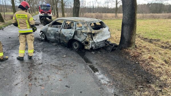 Samochód uderzył w drzewo po czym się zapalił . (Zdjęcia)