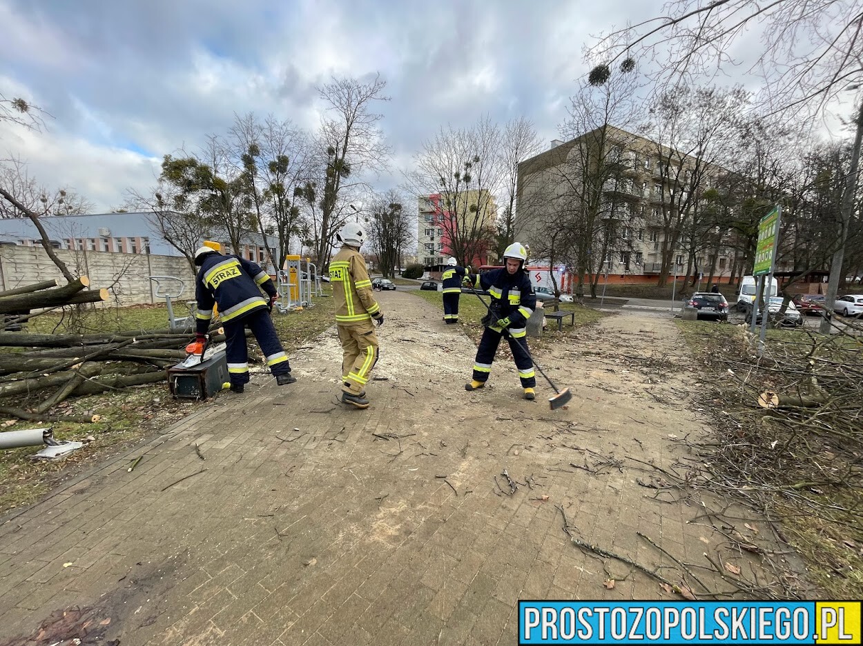 Sprzątanie Dzielnicy XI Zaodrze w Opolu Ekologiczna Akcja na Dzień Ziemi 22 kwietnia.