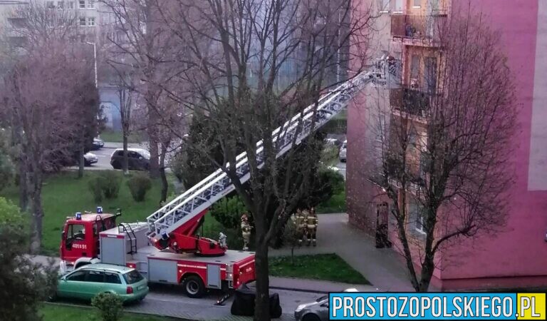 Obywatele Ukrainy zostawili w mieszkaniu bez opieki trójkę dzieci. Potrzebna była interwencja policji i strażaków z drabiną.