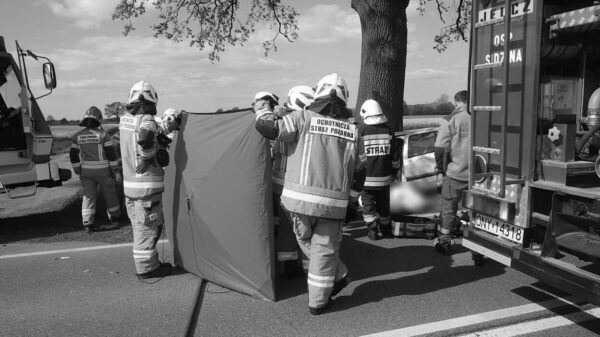 Policjanci wyjaśniają okoliczności śmiertelnego wypadku 23-latki na DK46 na trasie Sidzina-Malerzowice Wielkie.