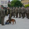 Obchody 32. rocznicy powstania Straży Granicznej w ŚlOSG.