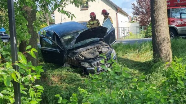 Grodziec: kierujący volvo wjechał do rowu i uderzył w drzewo. Jedna osoba poszkodowana. (Zdjęcia)