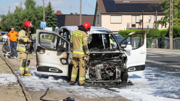 We Wrzoskach doszczętnie spalił się nowy citroen. Kierowca i pasażer w ostatniej chwili uciekli z płonącego auta.