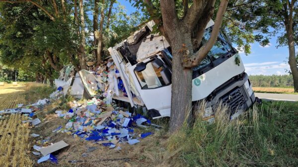 25-latek stracił panowanie nad ciężarówką, zjechał na pobocze i uderzył w drzewo.