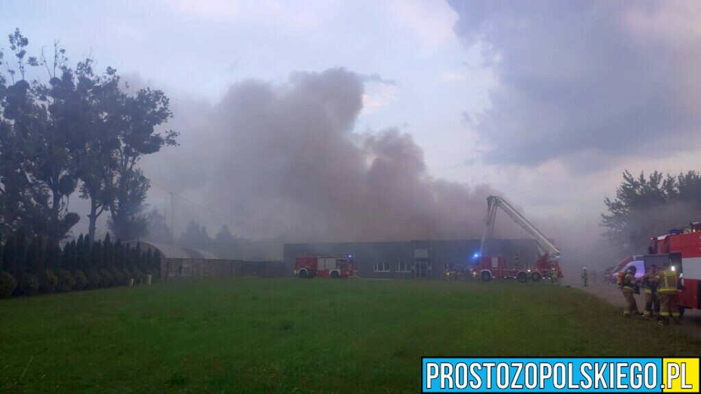 Pożar magazynu pod Opolem, pożar w Opolu, duży pożar pod Opolem, duży pożar w Opolu, palą sie magazyny,