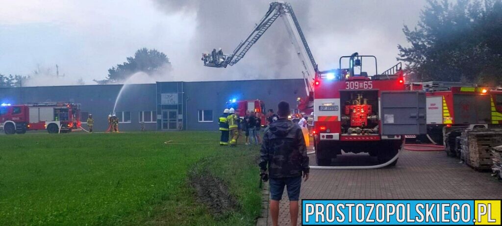 Pożar magazynu pod Opolem, pożar w Opolu, duży pożar pod Opolem, duży pożar w Opolu, palą sie magazyny,