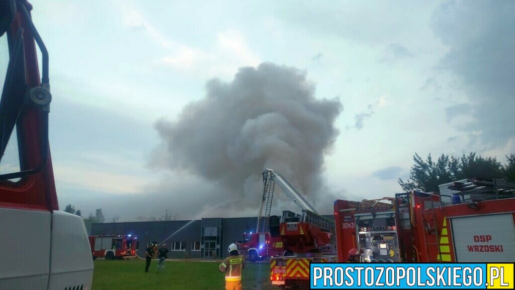 Pożar magazynu pod Opolem, pożar w Opolu, duży pożar pod Opolem, duży pożar w Opolu, palą sie magazyny,