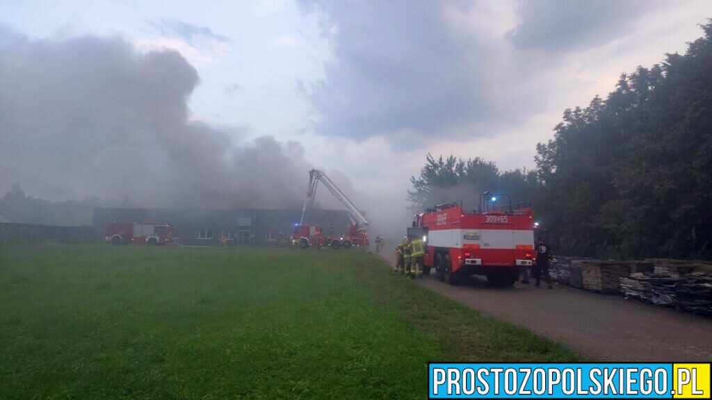 pożar magazynów pod Opolem, pożar na wspólnej, pożar magazynu meblowego w Opolu,