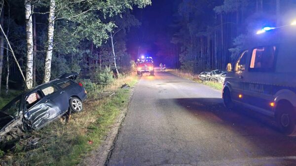 Zderzenie dwóch samochód na drodze powiatowej między Ładzą a Popielowem. Dwie osoby trafiły do szpitala.