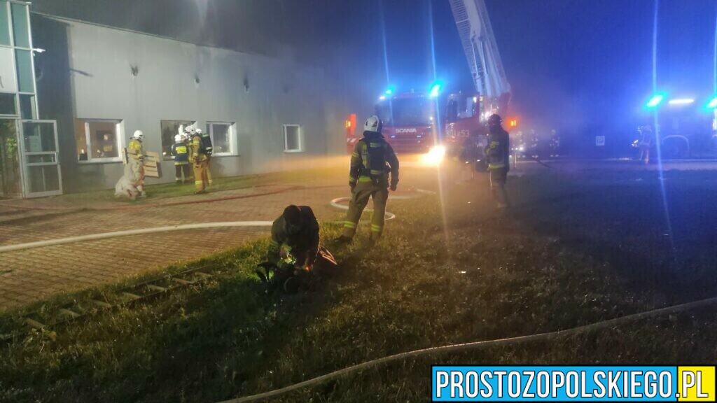 Pożar hali magazynowej w Opolu,