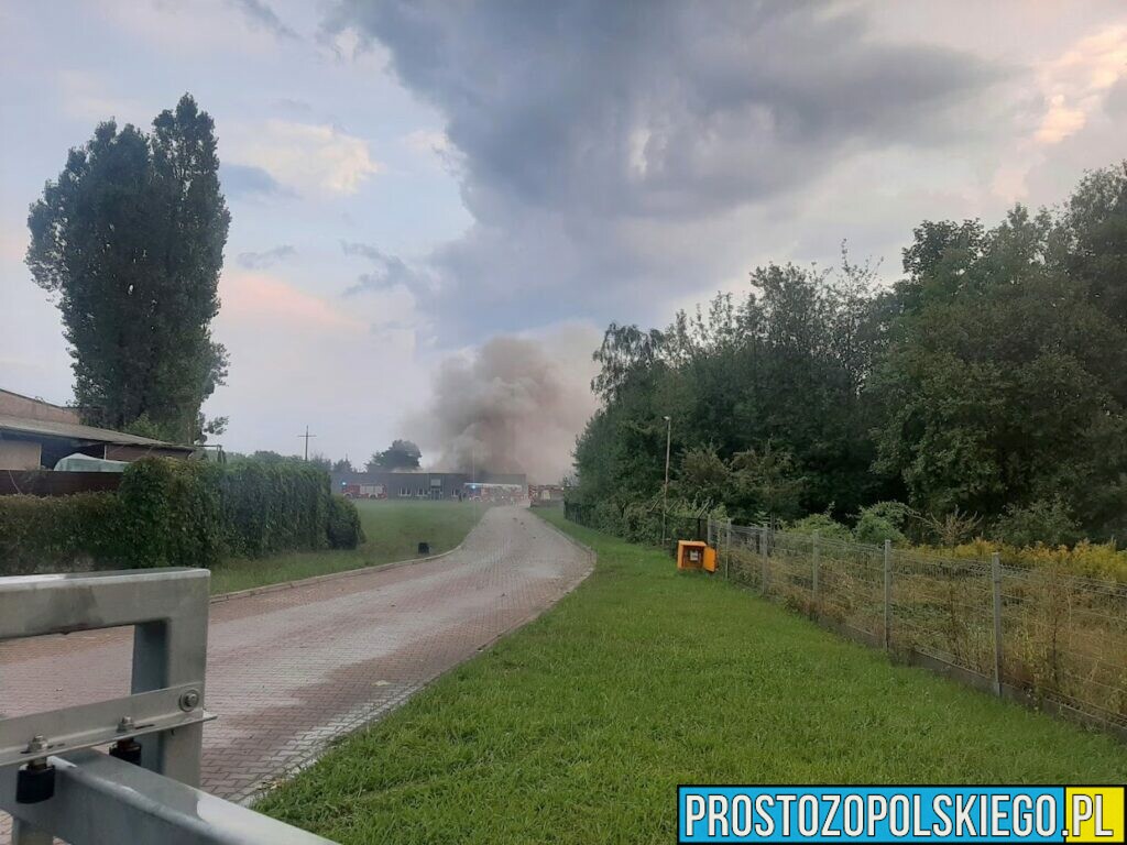 Pożar magazynu pod Opolem, pożar w Opolu, duży pożar pod Opolem, duży pożar w Opolu, palą sie magazyny,