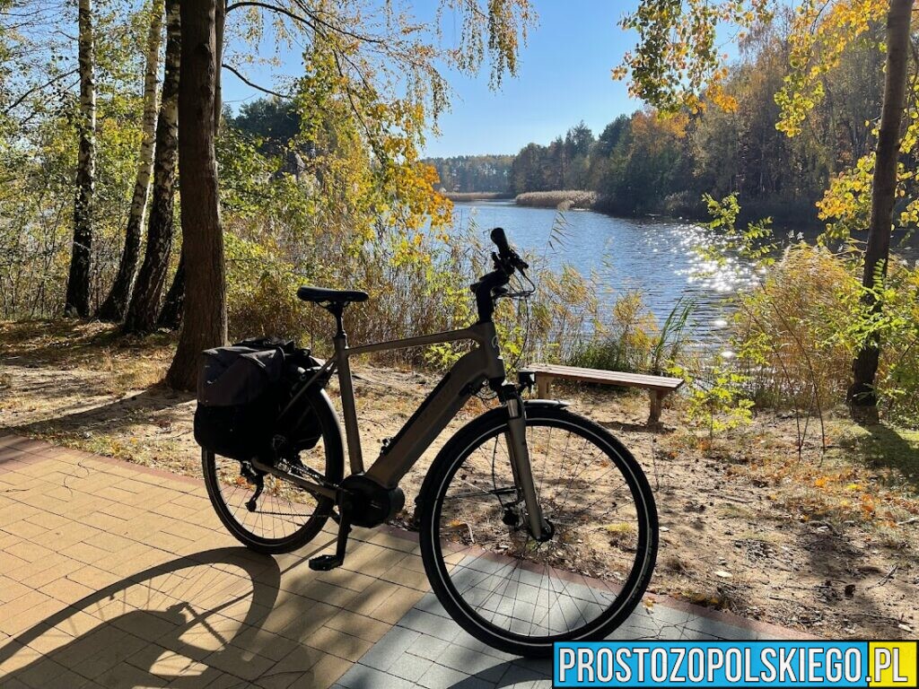 Policjanci odzyskali skradziony rower o wartości 6000 zł.