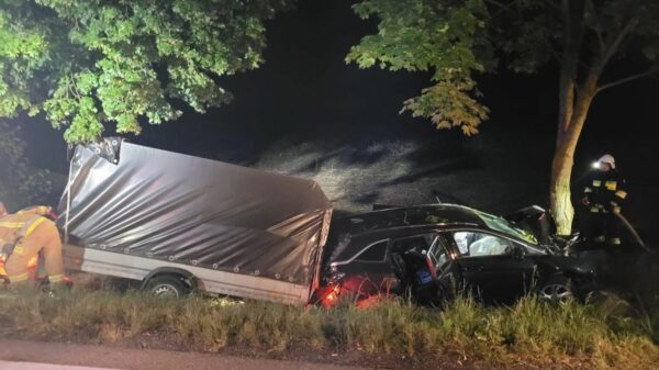 Długomiłowice: kierujący oplem zjechał z drogi i uderzył w drzewo.(Zdjęcia)