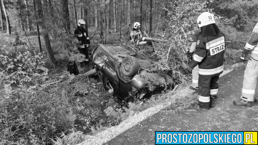 Wypadek w Kielczy.Nie żyje 18-letnia kierująca autem.(Zdjęcia)