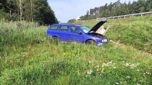 Kierująca autem zakończyła swoją jazdę na pasie zieleni na autostradzie A4. Kobieta została zabrana do szpitala.(Zdjęcia)