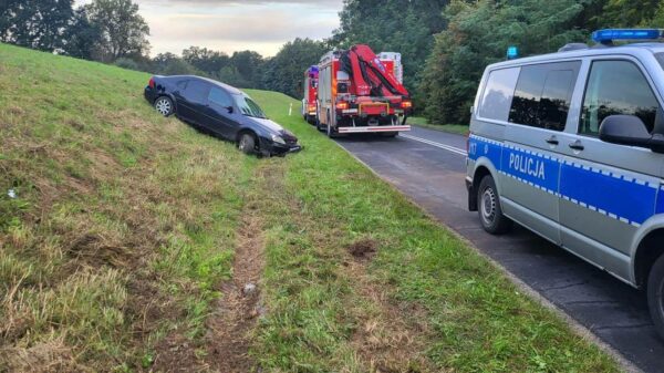 Strażacy z Brzegu najechali na wypadek w miejscowości Kościerzyce na DW457.