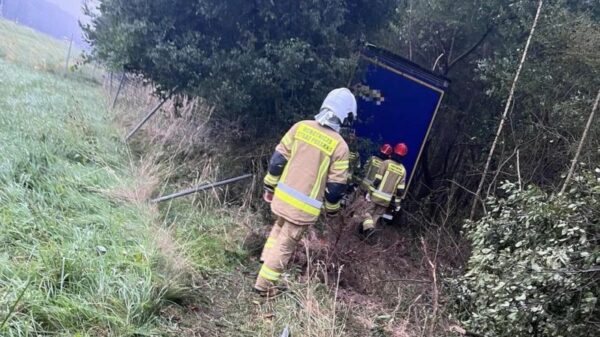 Autostrada A4:obywatel Ukrainy stracił panowanie nad ciężarówką i zakończył swoją jazdę w lesie.