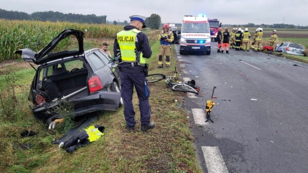 Wypadek pomiędzy Strzelcami Opolskimi a Rozmierką. Pięć osób trafiło do szpitala.(Zdjęcia)