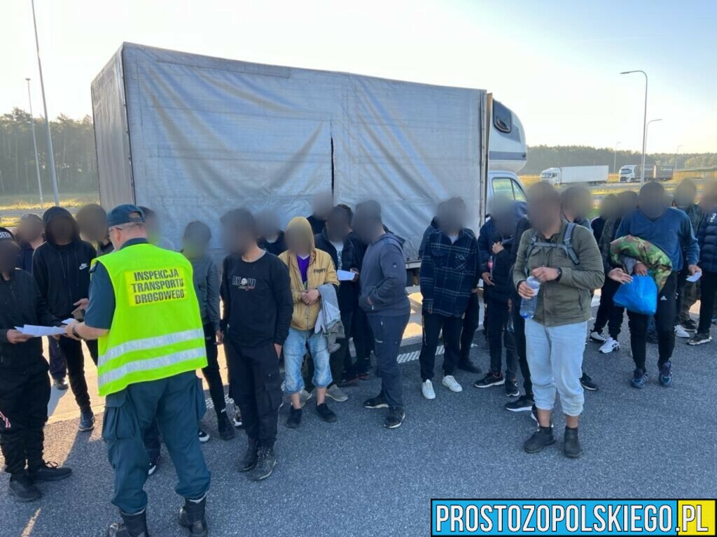 Jan Piotrowski Inspektorzy z WITD zatrzymali na obwodnicy Niemodlina busa. W środku było 43 imigrantów, w tym troje dzieci. (Zdjęcia)