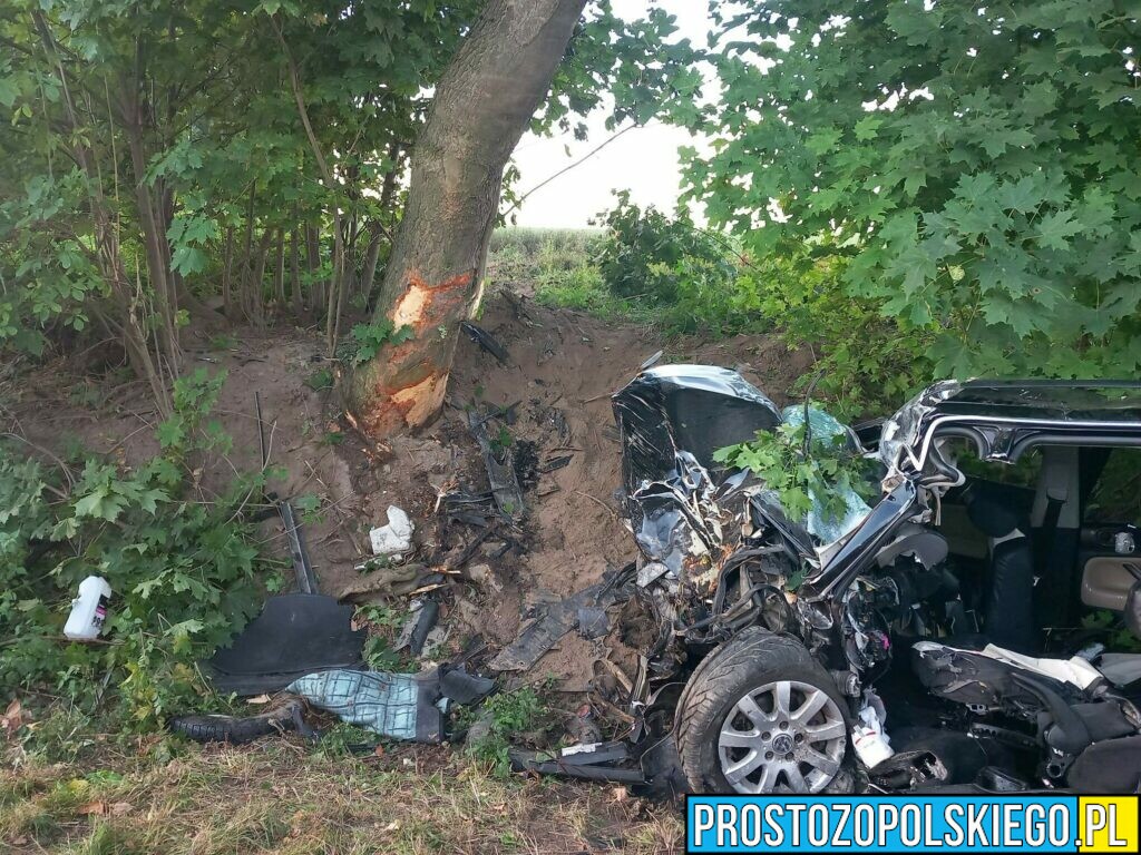 Policjanci poszukują świadków wypadku drogowego!