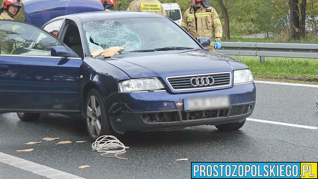 Kierująca autem śmiertelnie potraciła rowerzystę na obwodnicy Kędzierzyna Koźla.(Zdjęcia)