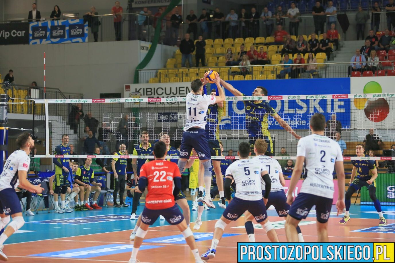 Derby Opolszczyzny. Grupa Azoty ZAKSA Kędzierzyn-Koźle – PSG Stal Nysa.(Zdjęcia)