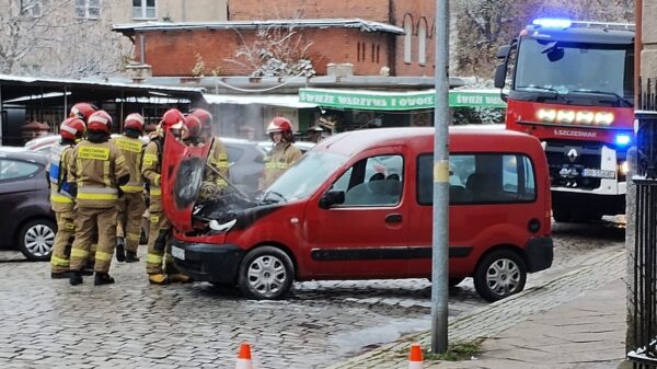 Pożar samochodu w Brzegu.(Zdjęcia)