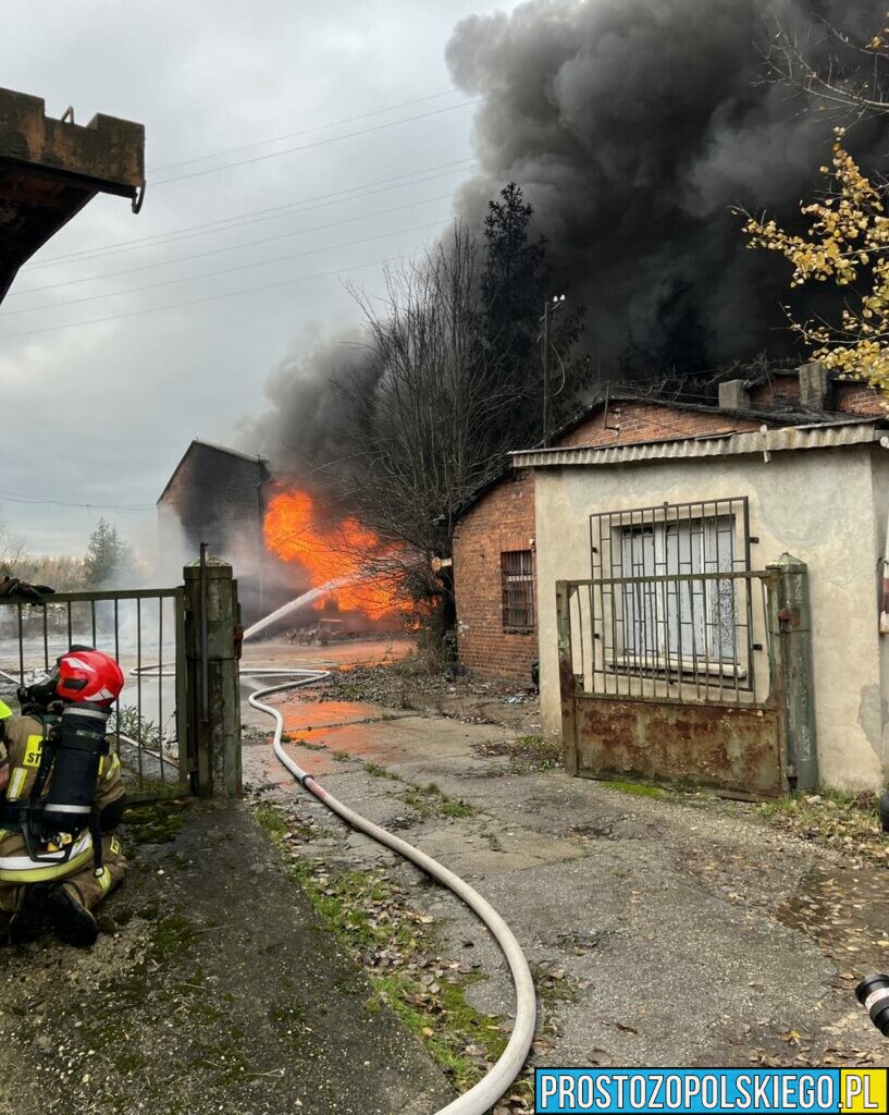 Potężny pożar hali magazynowej w Kędzierzynie Koźlu przy ul. Chełmońskiego.(Zdjęcia)