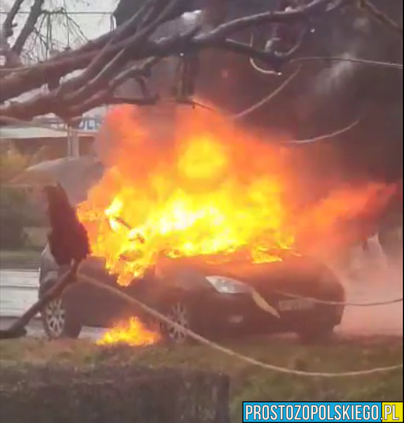 Auto spłonęło na ul.Braci Kowalczyków w Opolu.(Wideo)