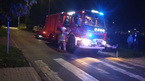 14 interwencji strażaków w czasie świąt Bożego Narodzenia w powiecie brzeskim.