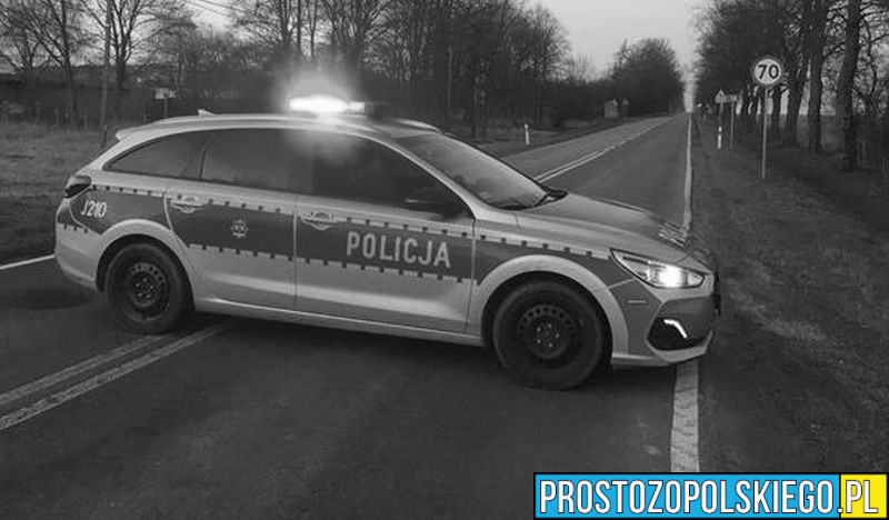 Policjanci wyjaśniają okoliczności potracenia śmiertelnego na trasie Nysa-Rusocin.