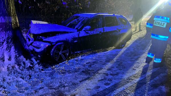 Kierujący bmw stracił panowanie nad pojazdem i uderzył w drzewo.(Zdjęcia)