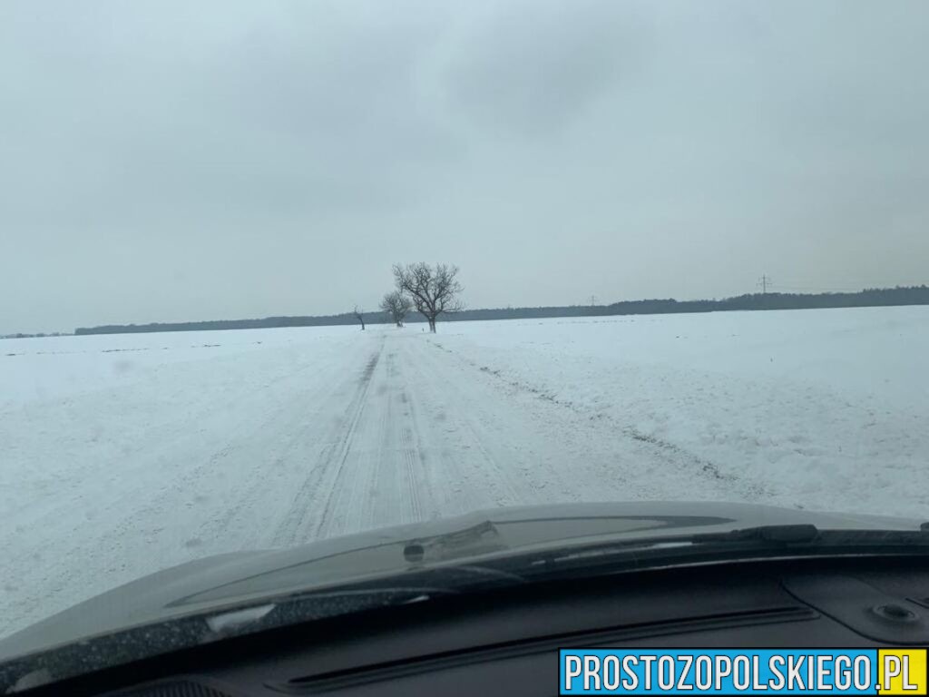 Na Opolszczyźnie mocno zawieje