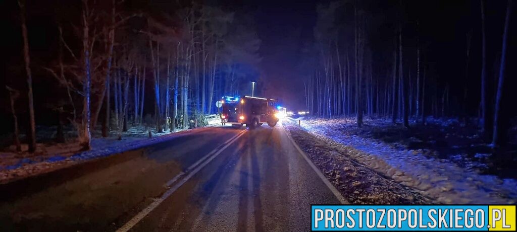 wypadek, trzebiszyn wypadek, wypadek na trasie, Opole, Kluczbork, wypadek śmiertelny, wypadek ze skutkiem śmiertelnym, wypadek busa, bus wypadek, 