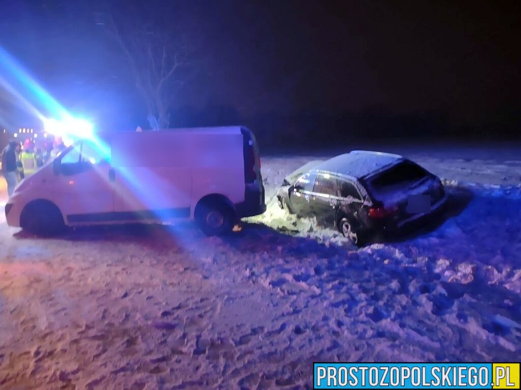 Wypadek na DK39 na trasie Kamienna – Bukowa Śląska. Jedna osoba została poszkodowana.(Zdjęcia)