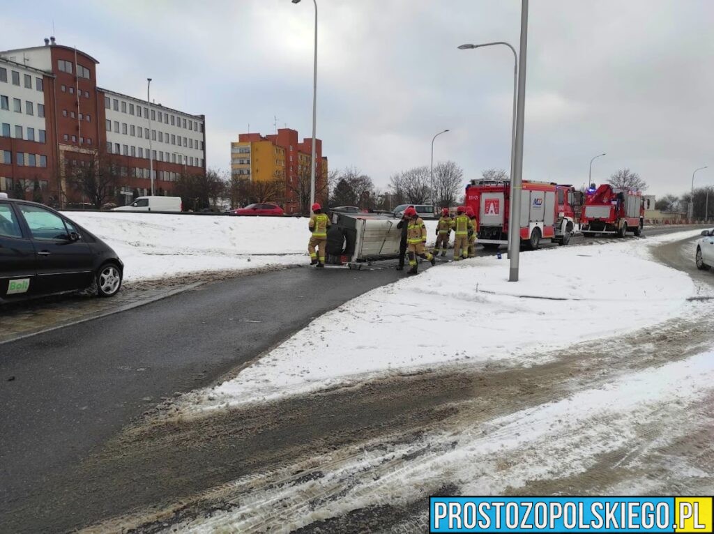 Kierowca w kajdankach zabrany do radiowozu, w kajdankach, kierowca zaatrzymany, kierowca wypadł z drogi, pod wpływem, pijany, 