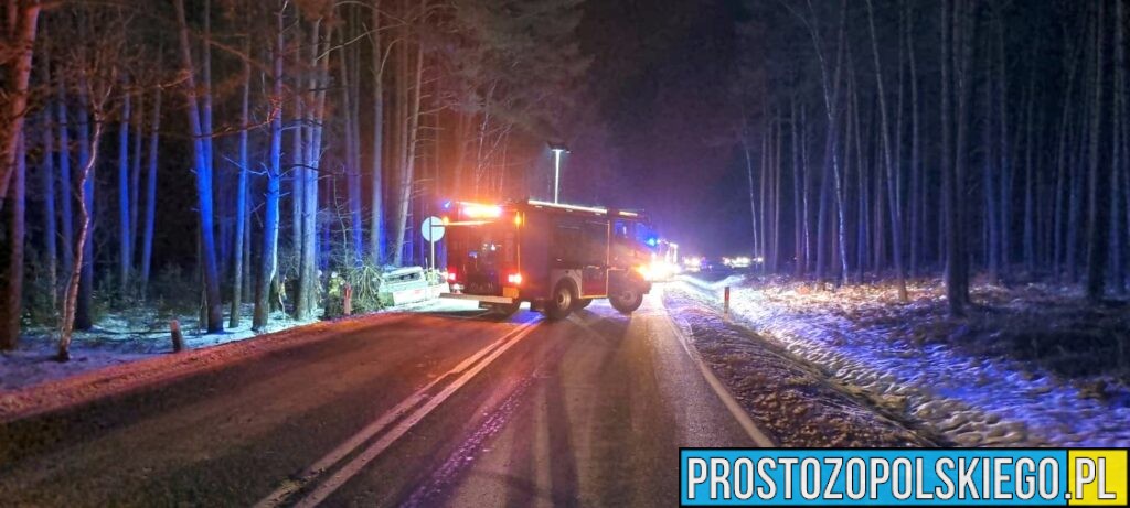 wypadek, trzebiszyn wypadek, wypadek na trasie, Opole, Kluczbork, wypadek śmiertelny, wypadek ze skutkiem śmiertelnym, wypadek busa, bus wypadek, polskie wypadki, polscy kierowcy, 