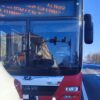 Z dachu autobusu MZK spadł lód na ulicę przed samochodem naszego czytelnika w centrum Opola.