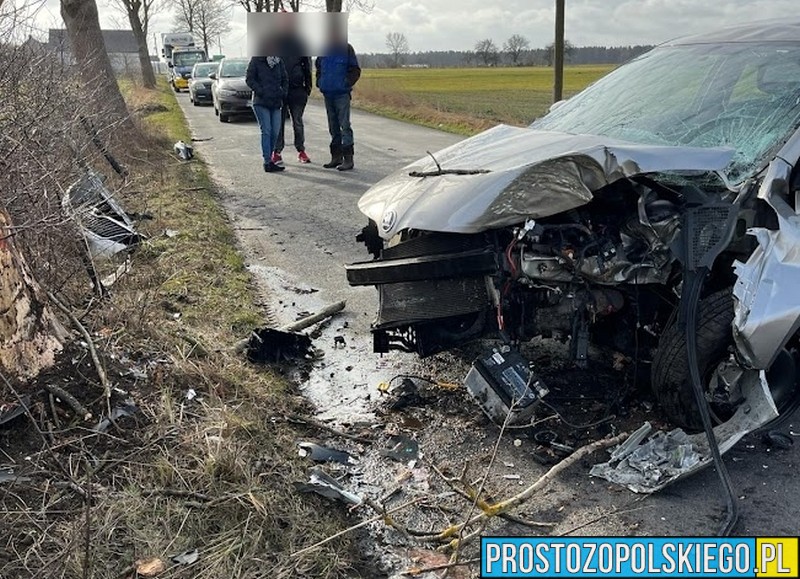 Dębie: pijany 17-latek wjechał autem w Drzewo. Z obrażeniami ciała został zabrany do szpitala.(Zdjęcia)